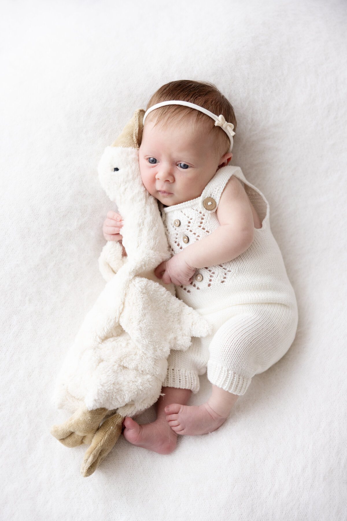 newbornshoot-brendaolie