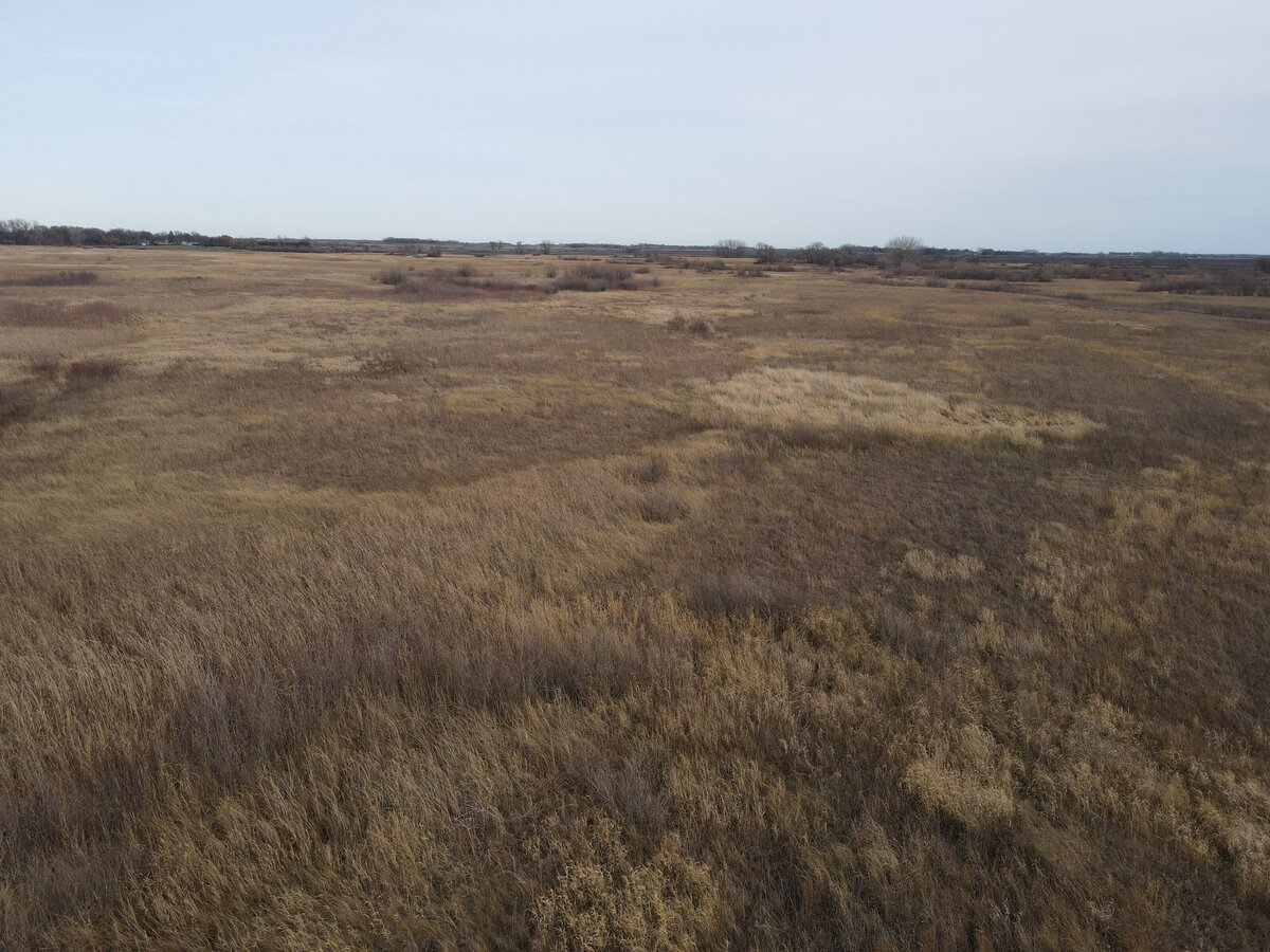 DJI_0157