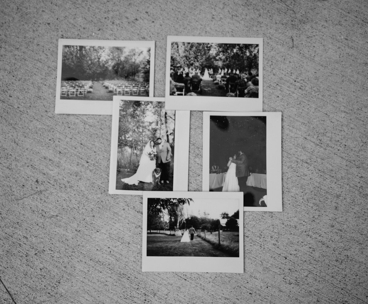 Taylor Elizabeth Photography Weddings and Lifetyle Photographer in Indiana Weddings Photo 85