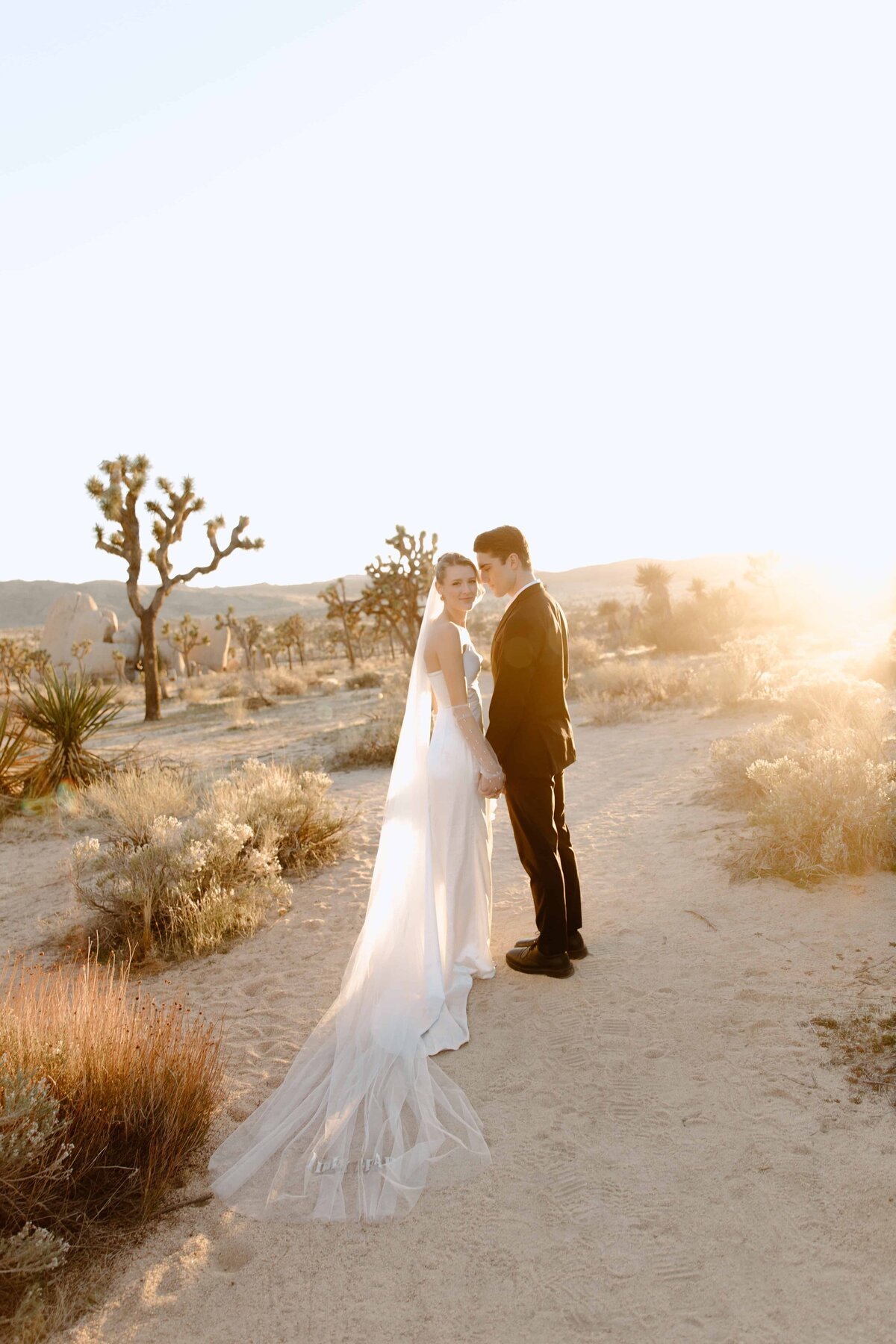 joshua-tree-elopement-photos