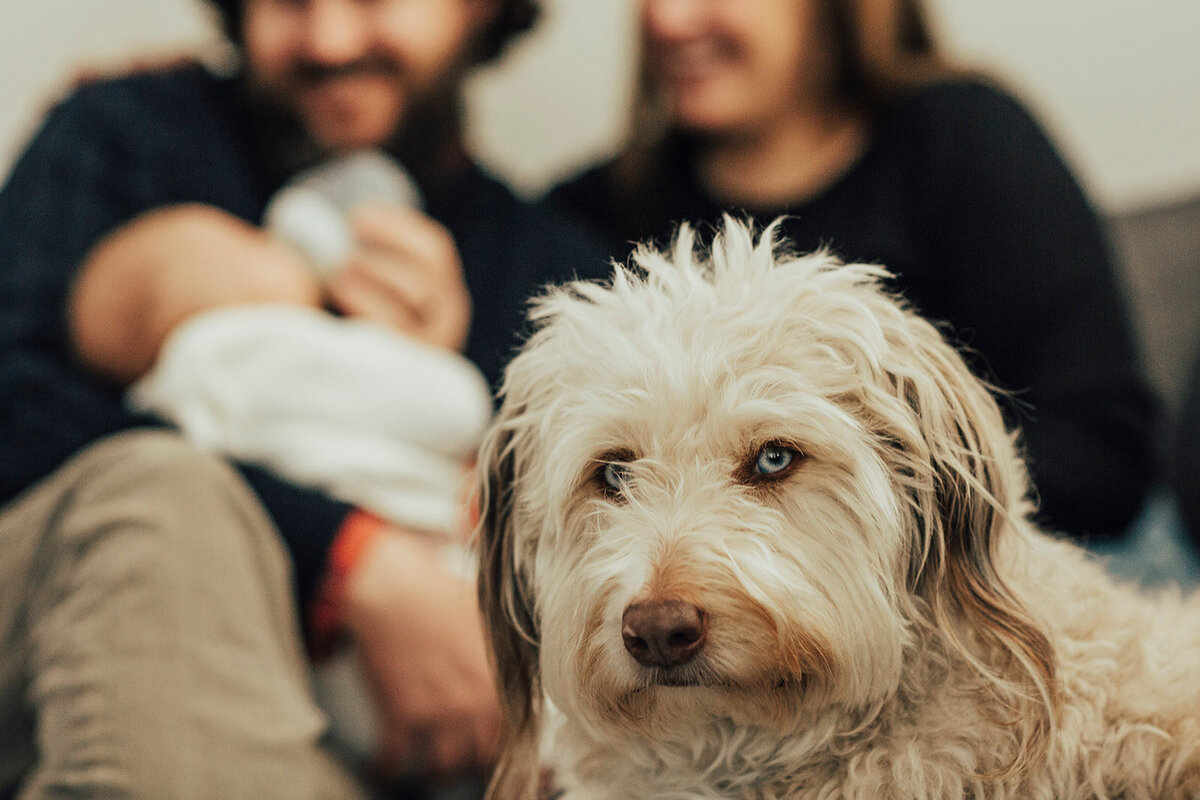 Breckenridge_Colorado_Family_Photographer_064