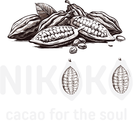 nikoko logo white