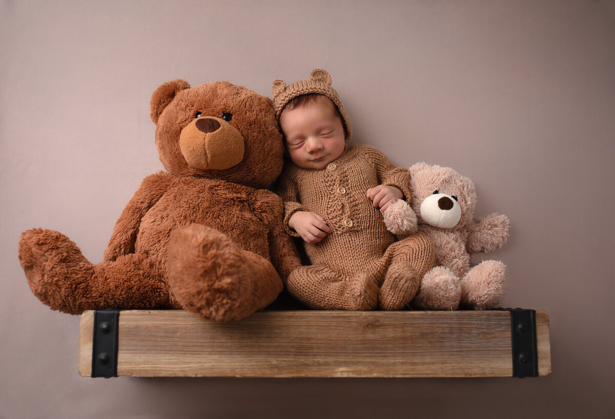 baby bear shelf