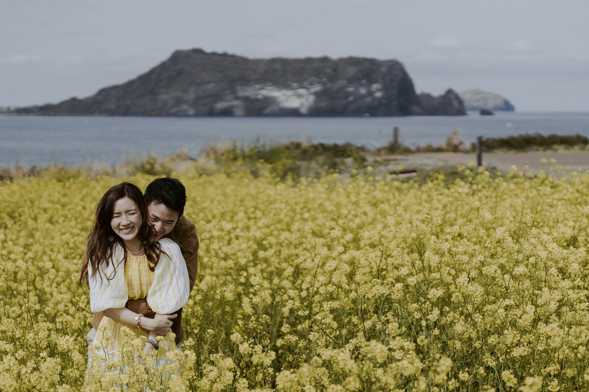 the groom back hugging the bride in the yellow canola fields in seopjikoji