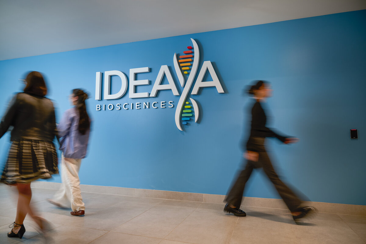 IDEAYA_7.21.2523844 1-Edit