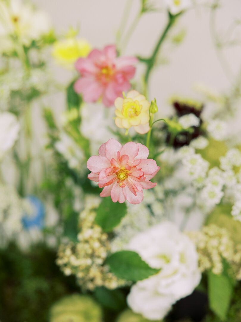indianapolis wedding florist brand session-13
