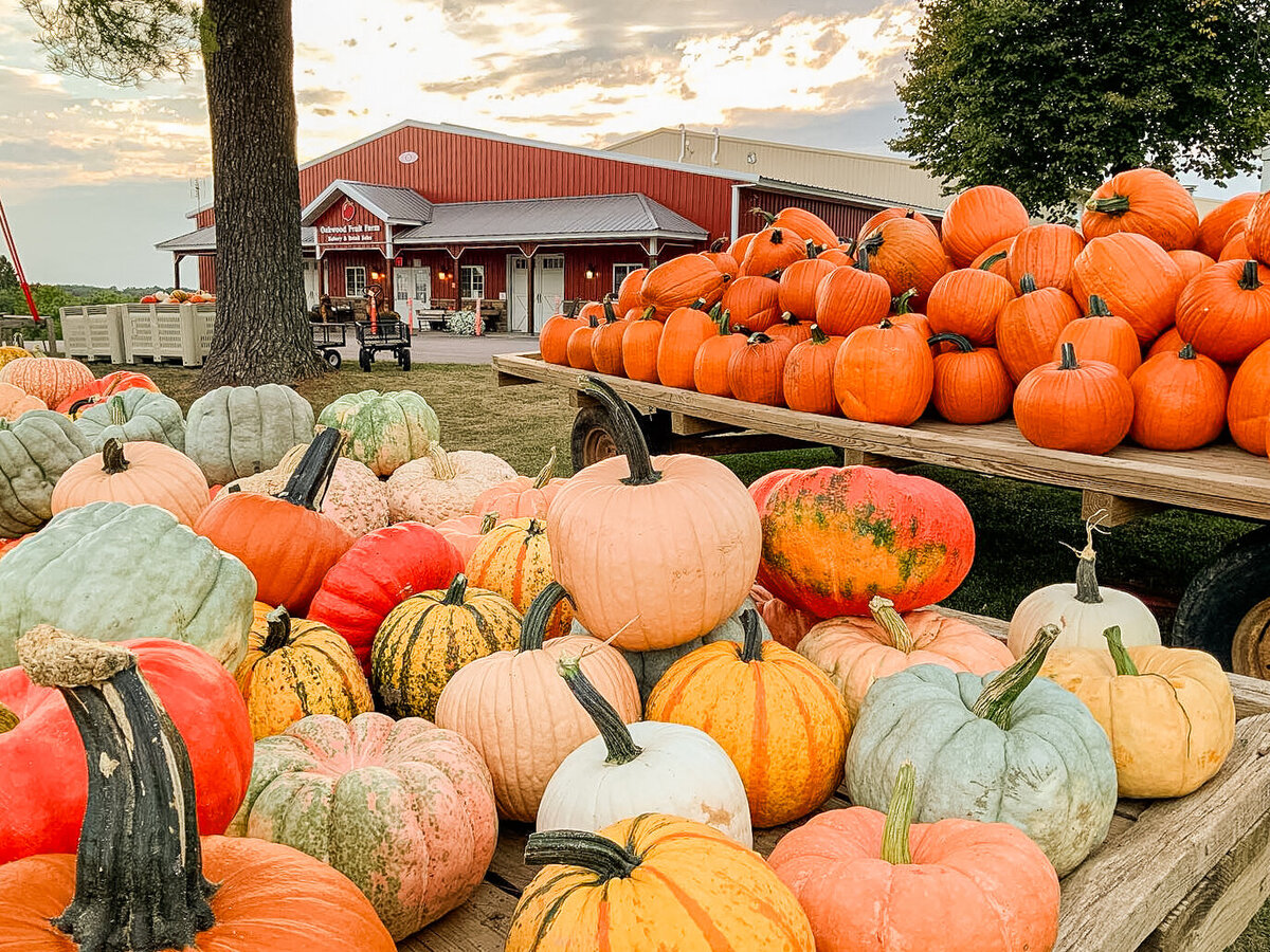 Retail Oakwood Fruit Farm-4