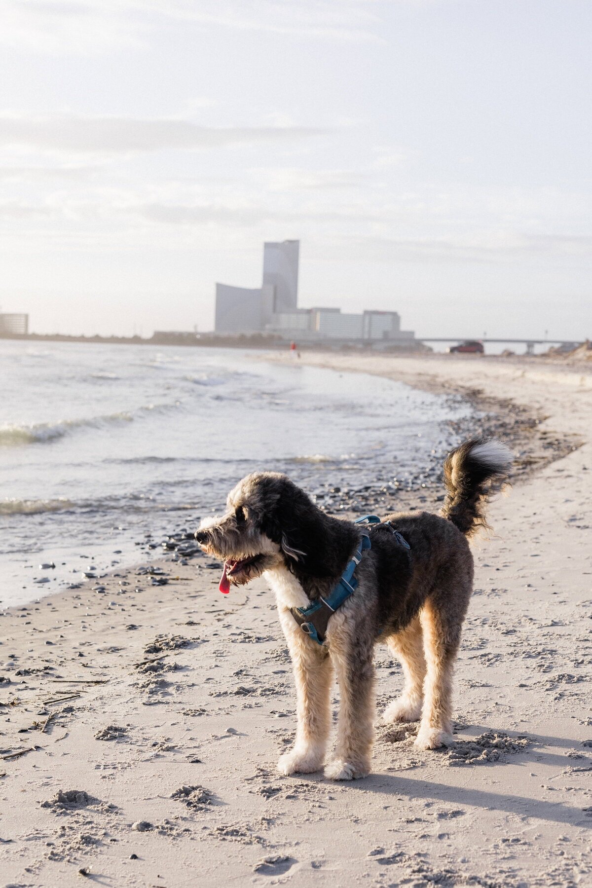Brigantine_NJ_LGTBQ+_engagement_photos_01