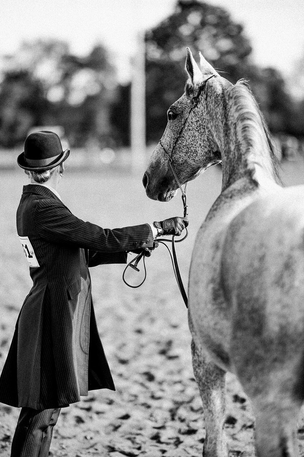 Equestrian Photography321