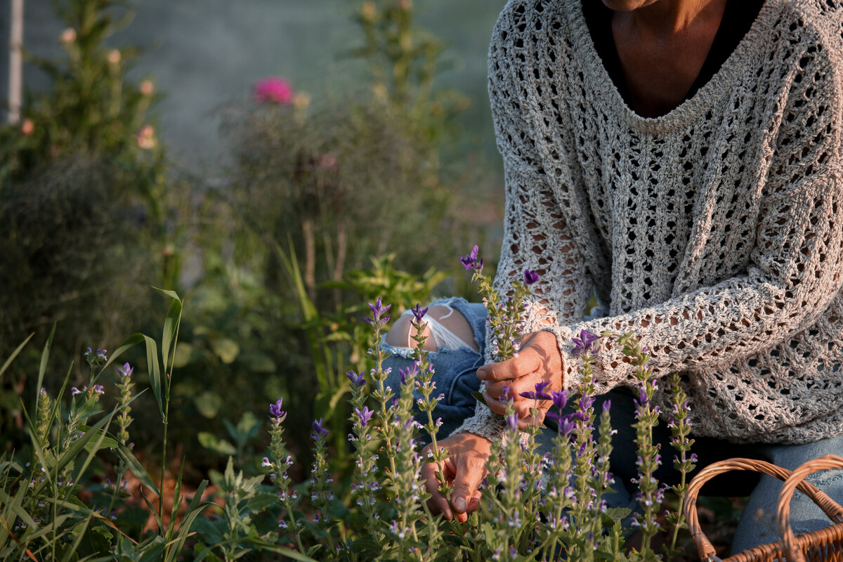 herbal wellness