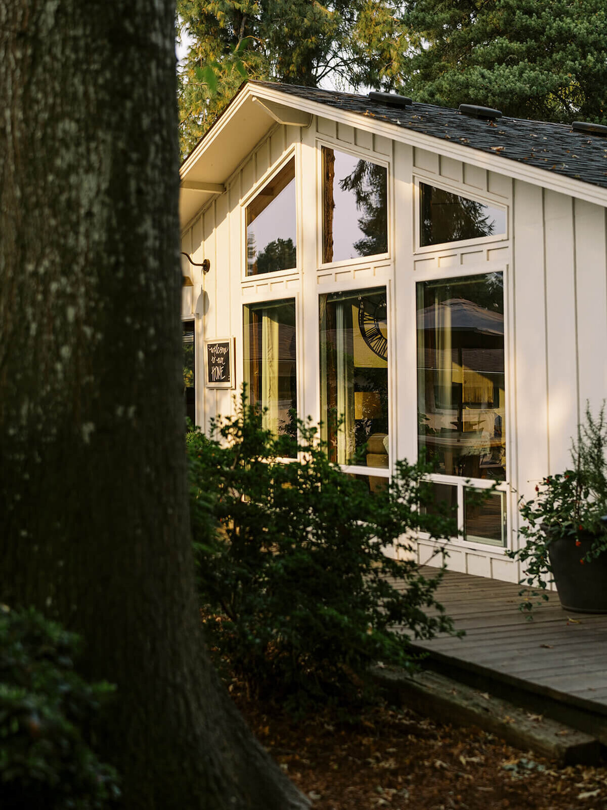 A house's front windows pictured from around a tree. 