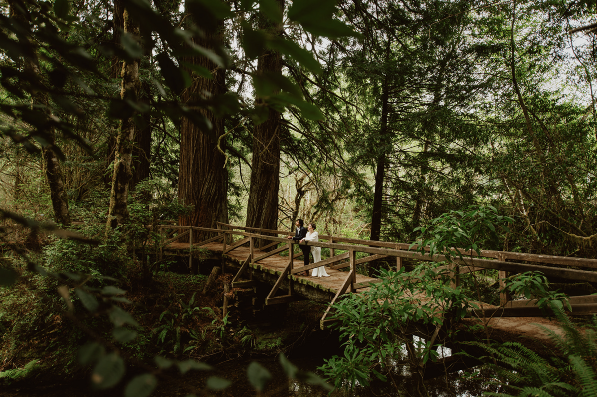 Meg Cooper Photo Redwood National Park Elopement1