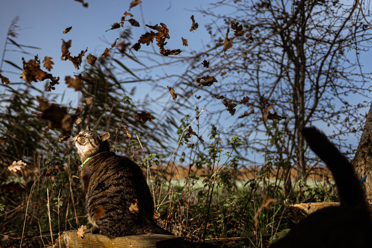 Leafy 039_websize