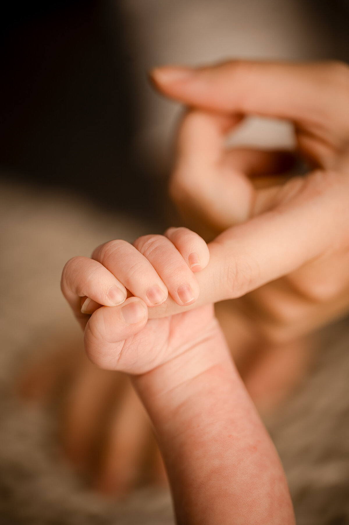 bismarck-studio-newborn-garland-7