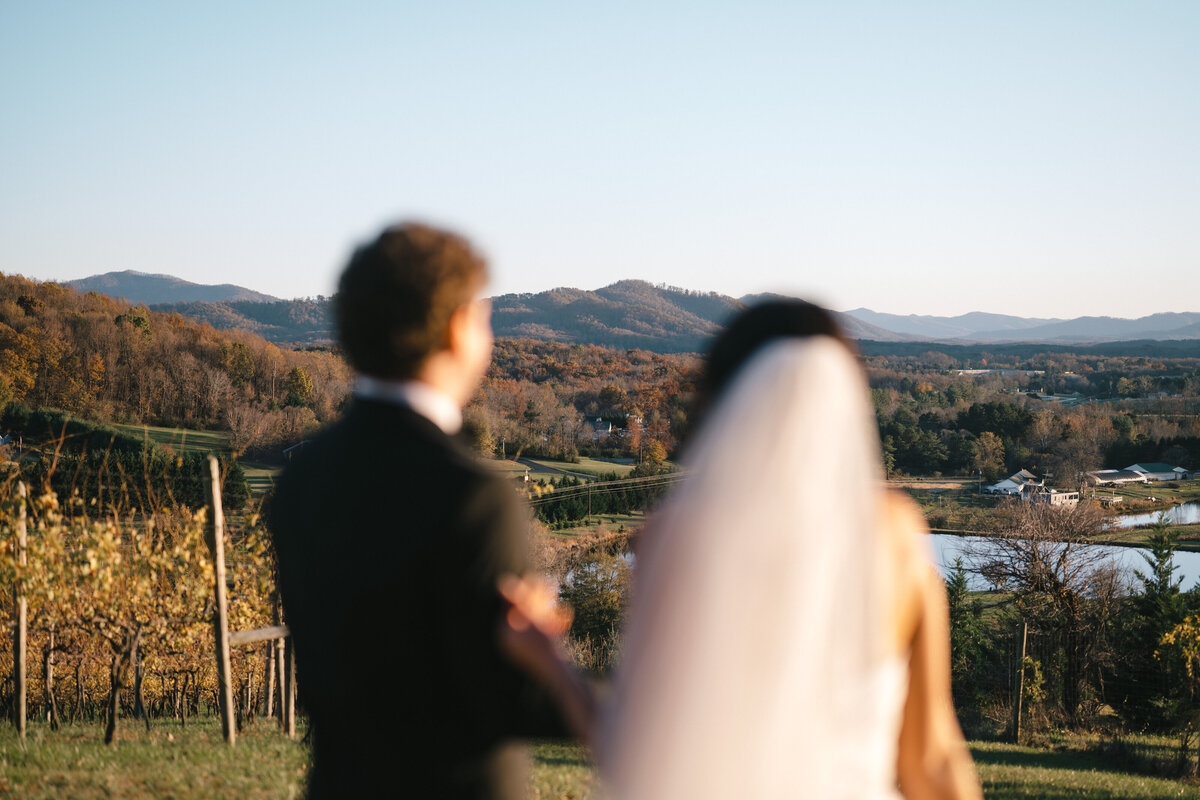 eilish bailey photography - grace and ethan valley road vineyards wedding - portraits-65