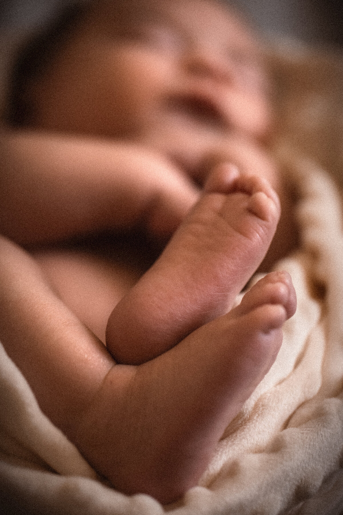 Newborn baby in cozy blanket