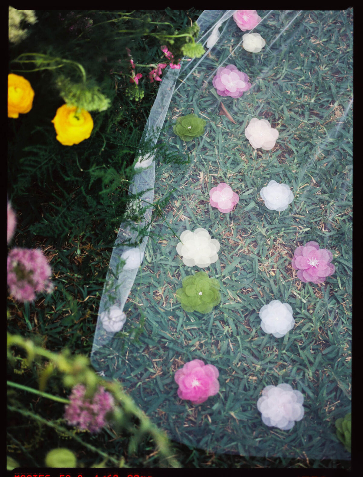 image36