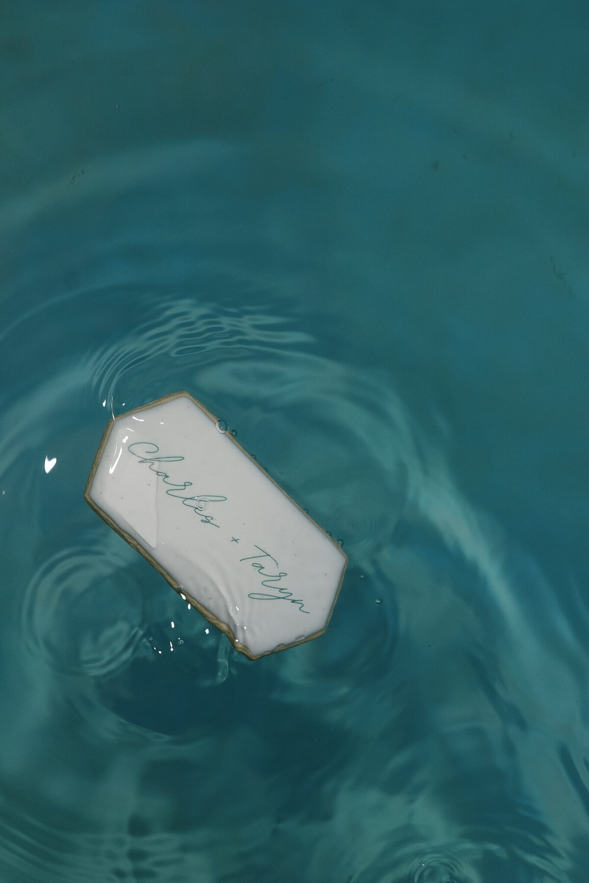 Melissa O'Hara Photography - The Robbins Wedding Sneak Peeks-128