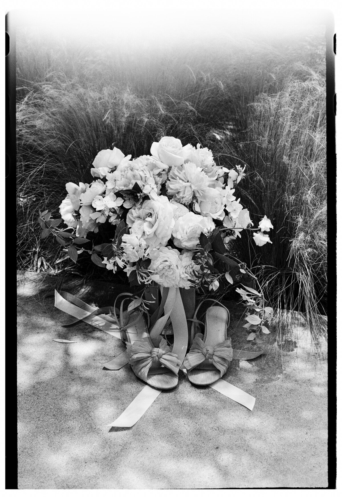 N + S Film-2