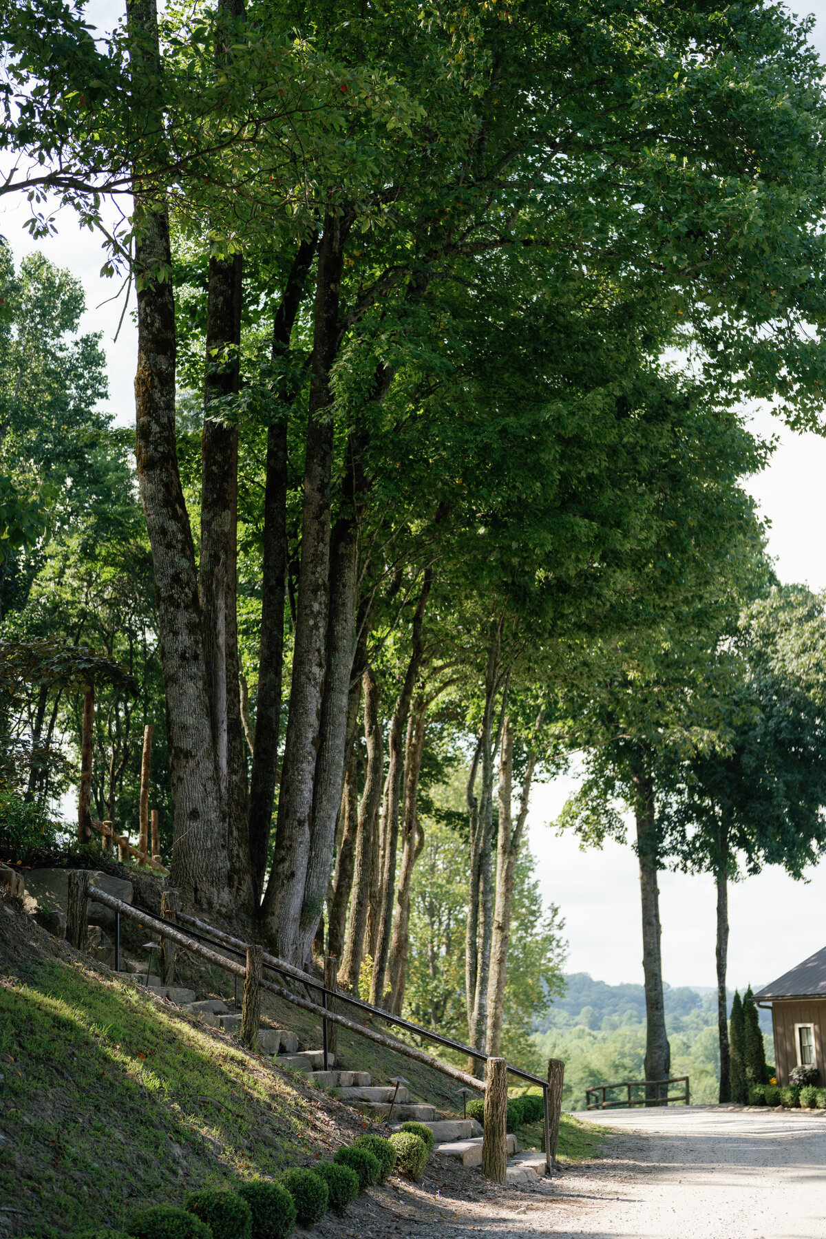 Preview_Lizzie Baker Photo _ Brittany & Jared _ Vineyard at High Holly Wedding _ Highlands Wedding Photographer _ Atlanta Wedding Photographer-2