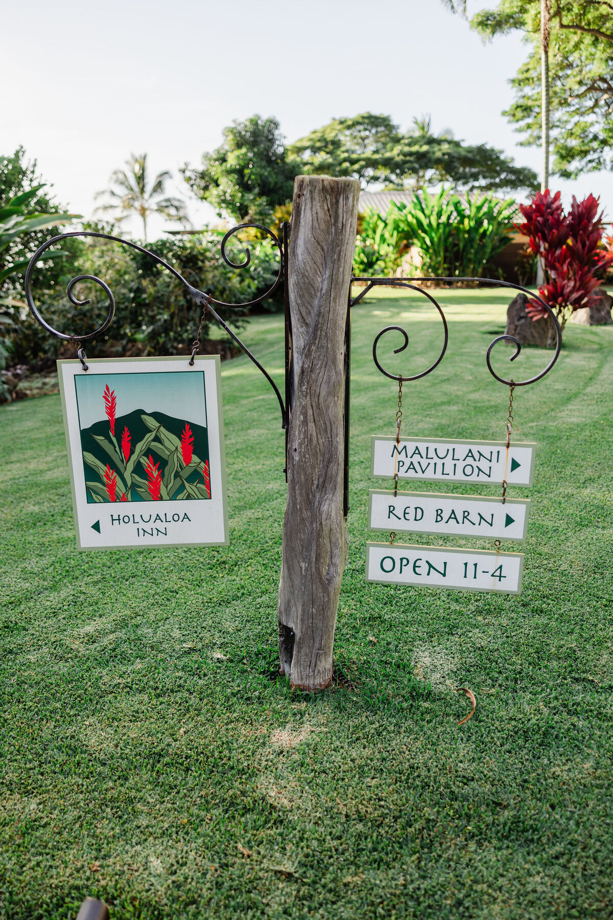 Hawaii-Engagement-Photos-Holualoa-Inn (62)