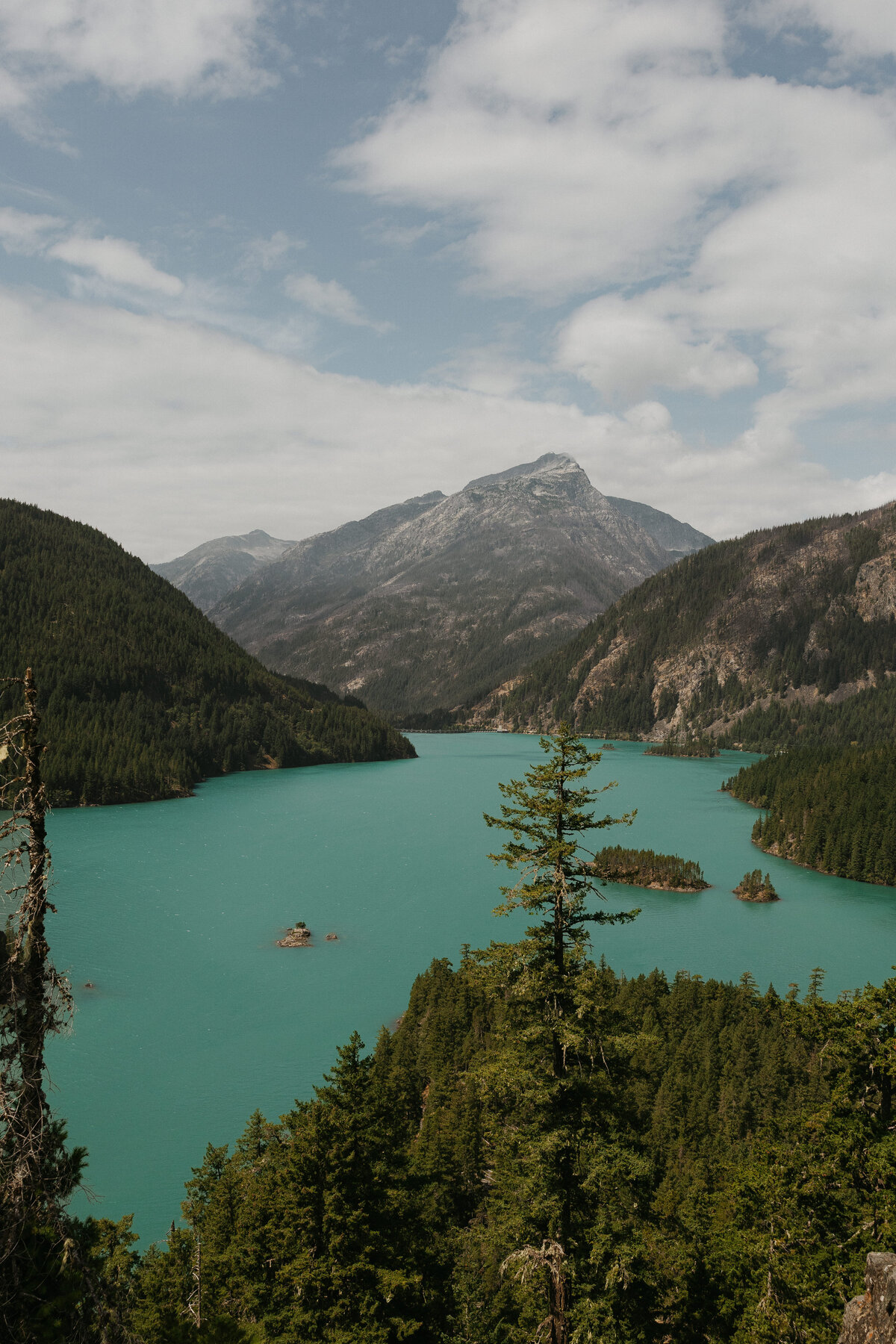 JamieTobinPhotography-WestCoastElopementPhotographer-53