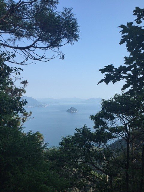 Travel_Japan_Miyajima_Forest