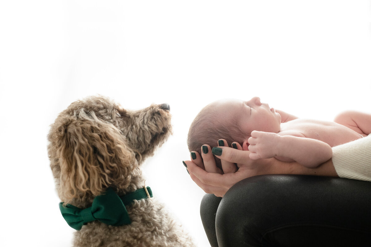 lifestyle washington DC newborn photographer-02