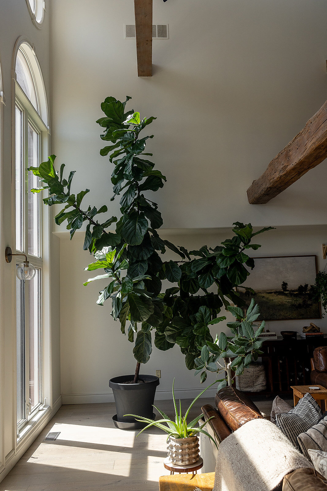 peterborough-interior-photographer-28