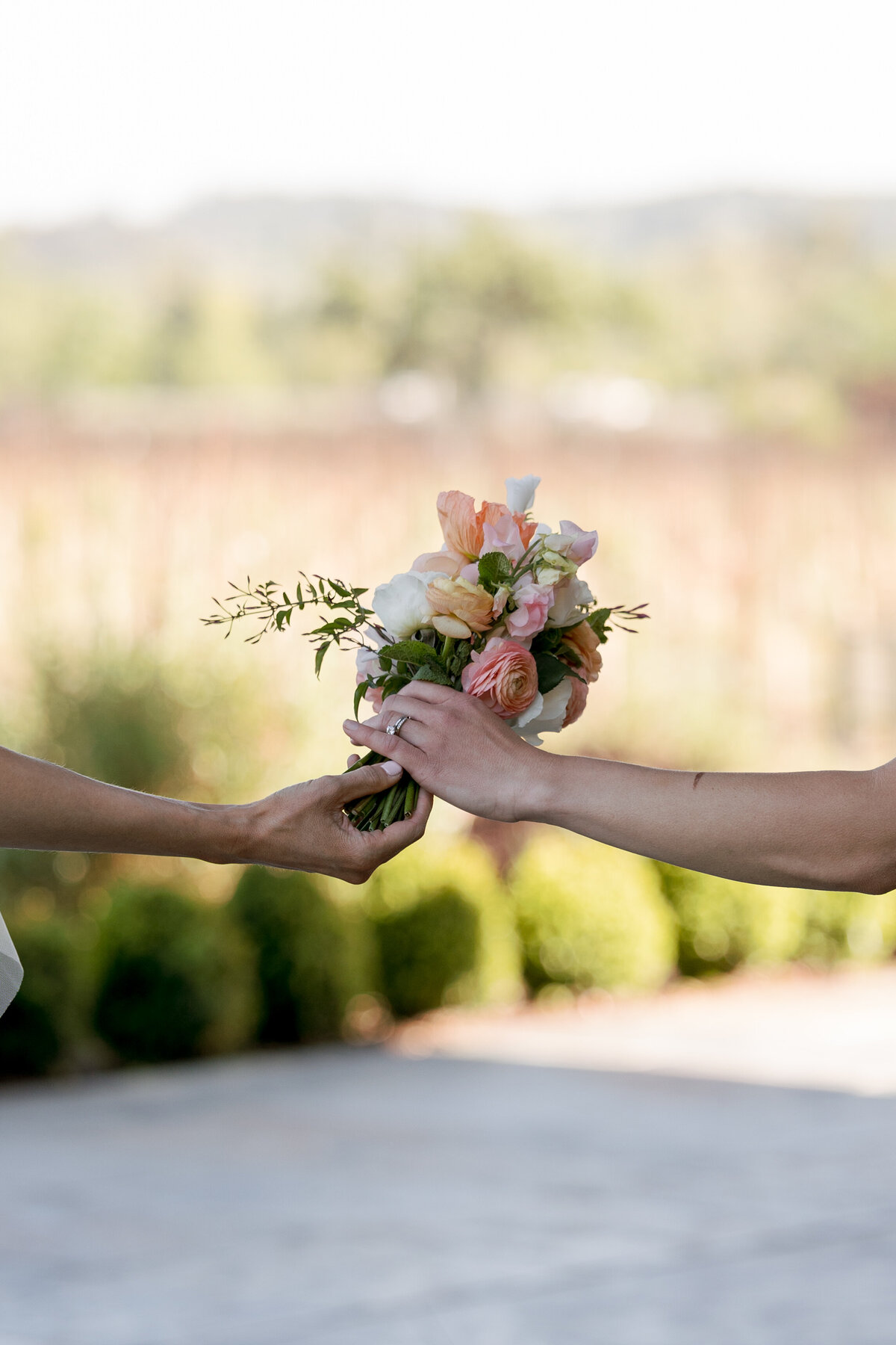 haley-robbie-ceremony-oliveandoath-26