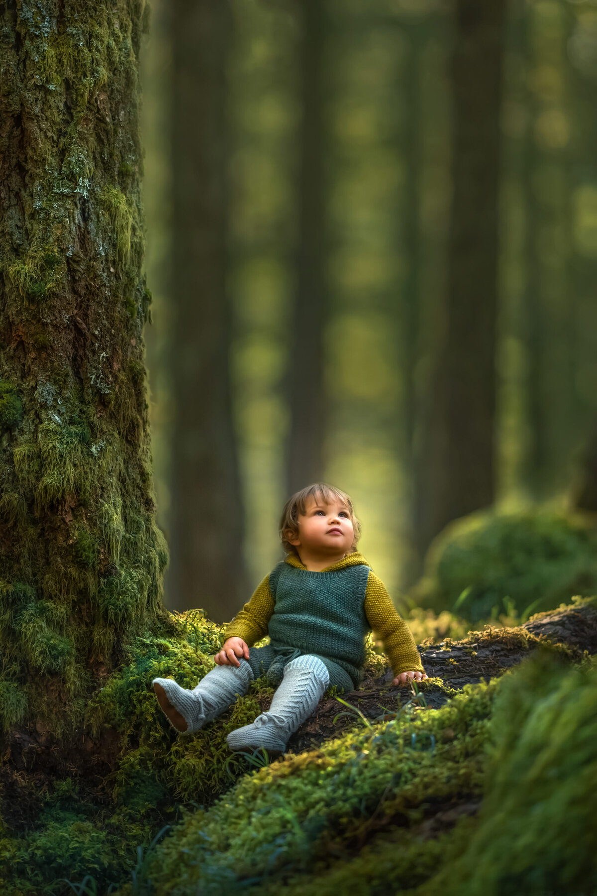 A young boy sits on a mossy log  and surrounded by tall trees in this shire-inspired enchanted portrait session.