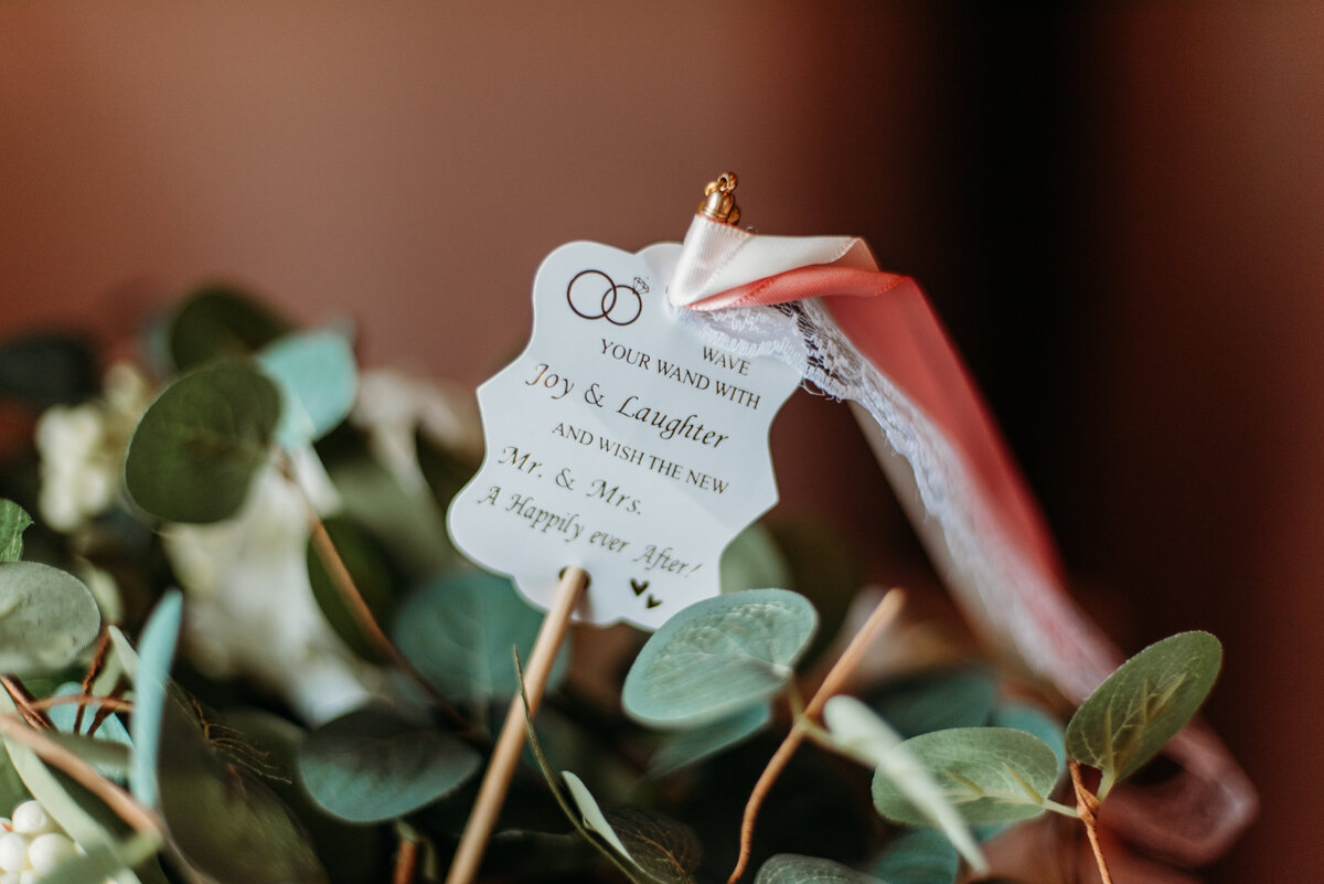 01_SGP_Stephanie&David_08.03.24-83