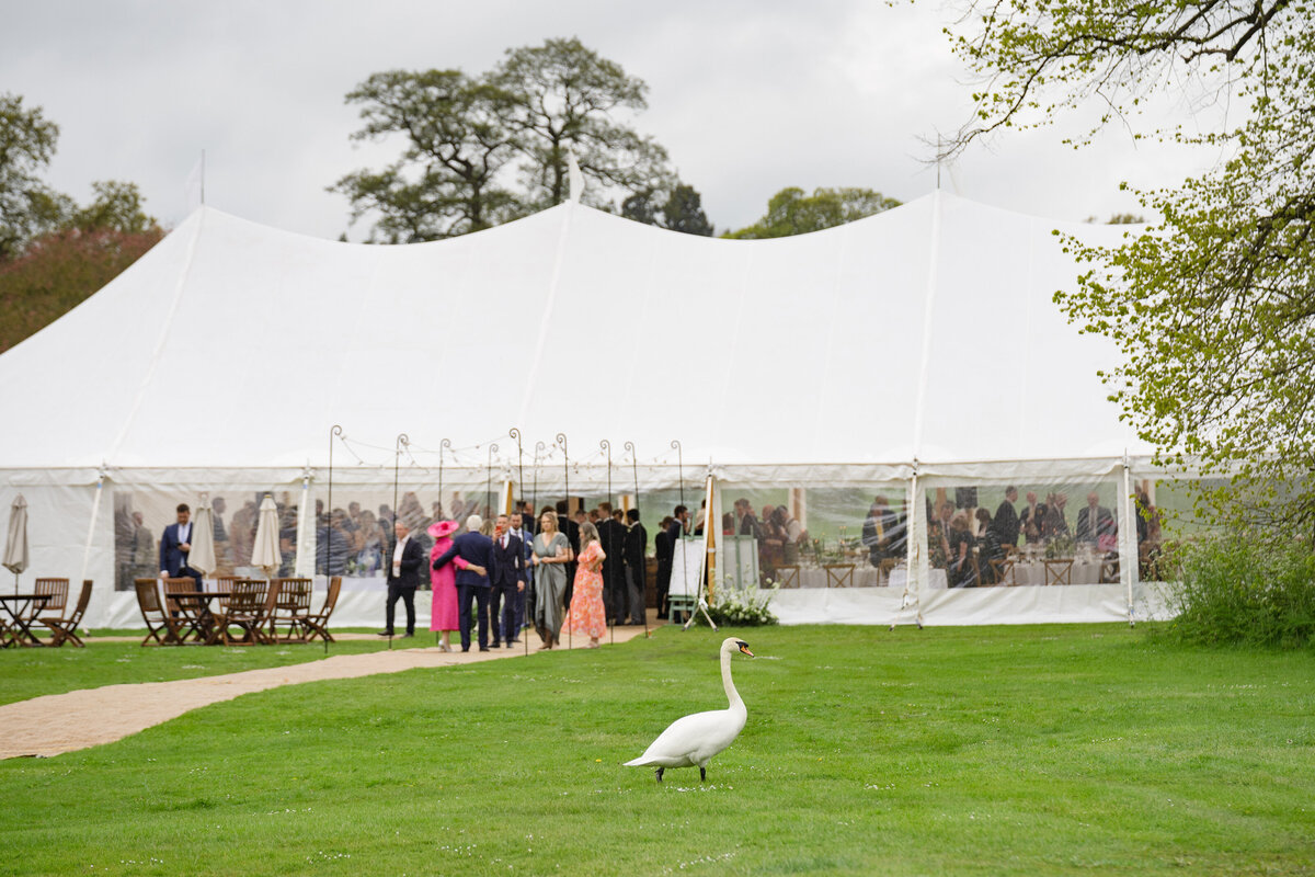 Exton-Park-wedding-photography-1092