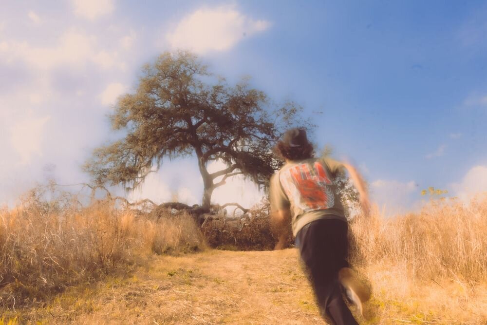 IMG_0903-Copy-15c18f60-1000