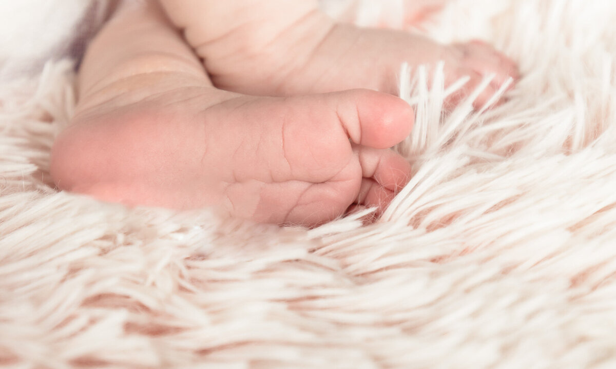 Newborn session0023