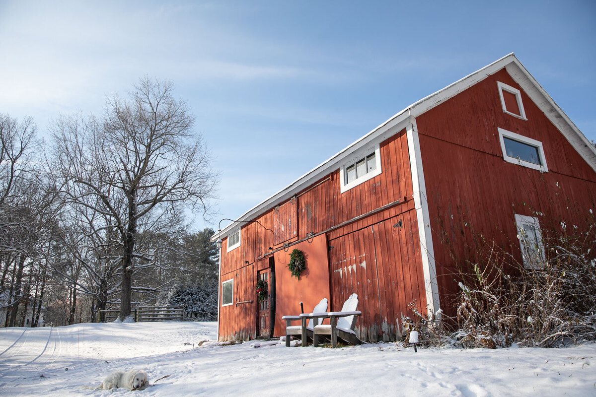 BarnDoorBloom_WinterBrandSession-2