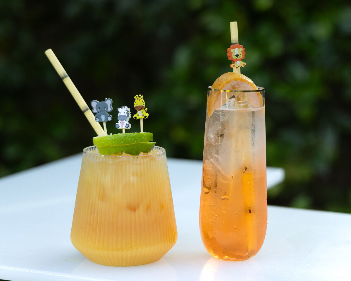ATHERTON-EVENT-PHOTOGRAPHY-COCKTAILS-SAFRIATHEME-EVENT