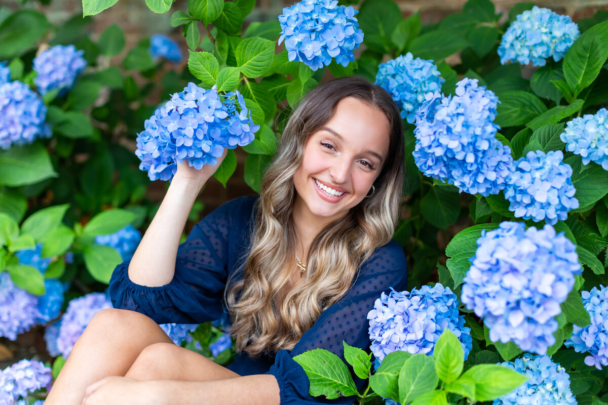 Hydrangea flower photoshoot00003