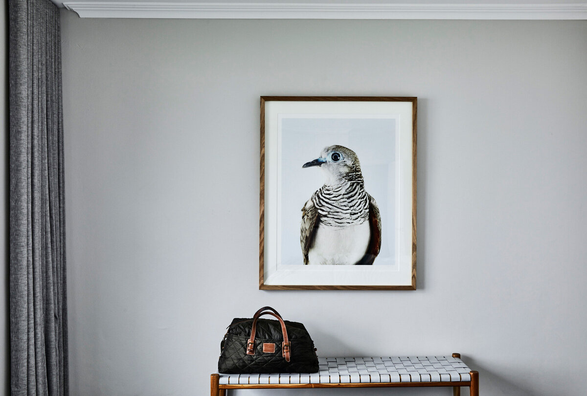 AltusDesignStudio_cloud-parade-leura_16774