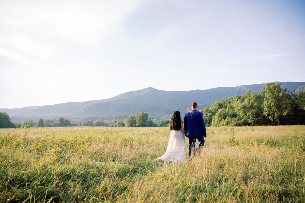 Cades Cove wedding photos with bride and groom holding hands and walking towards the mountains across the meadow