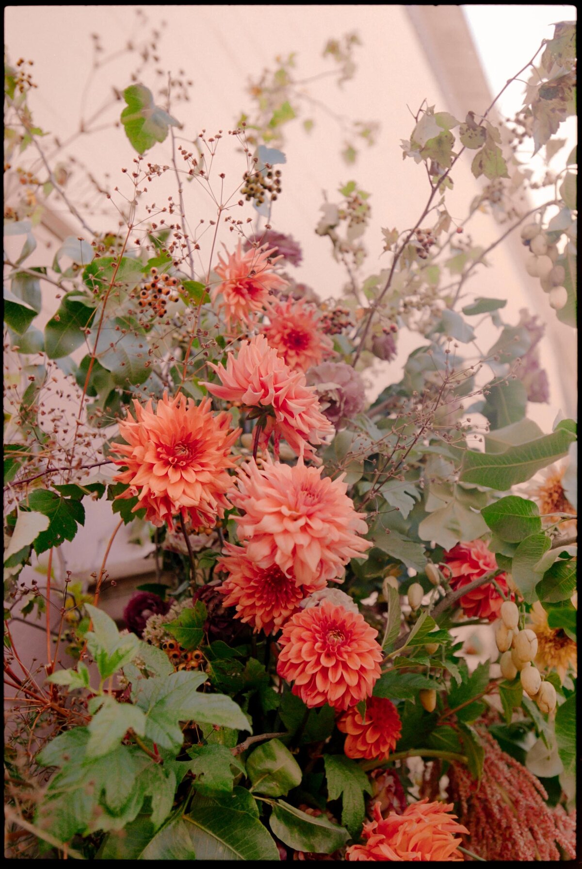 Jess-Buckley-Photo-California-Film-Wedding-34