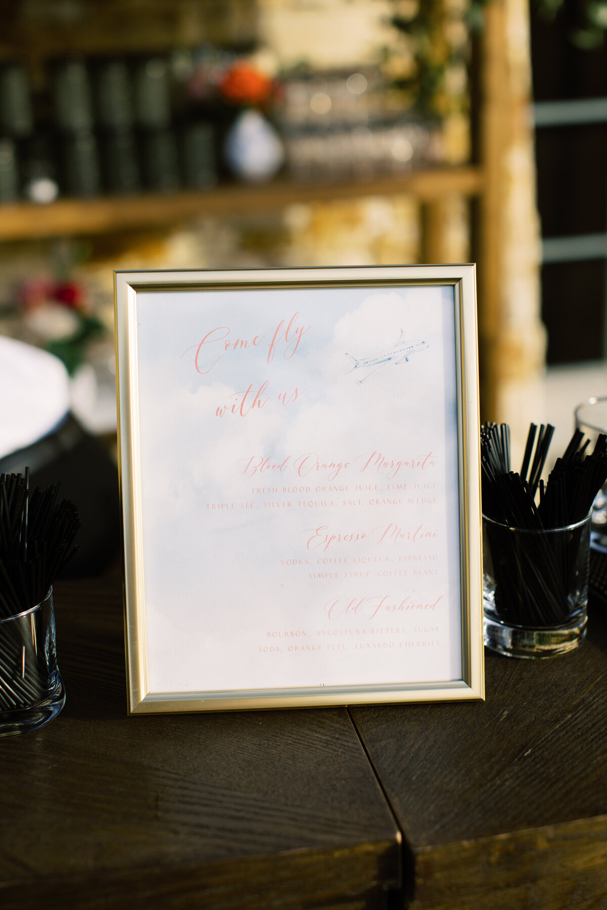 Copy of ©ags-photo-art-Katia&Corey-WelcomeParty-172