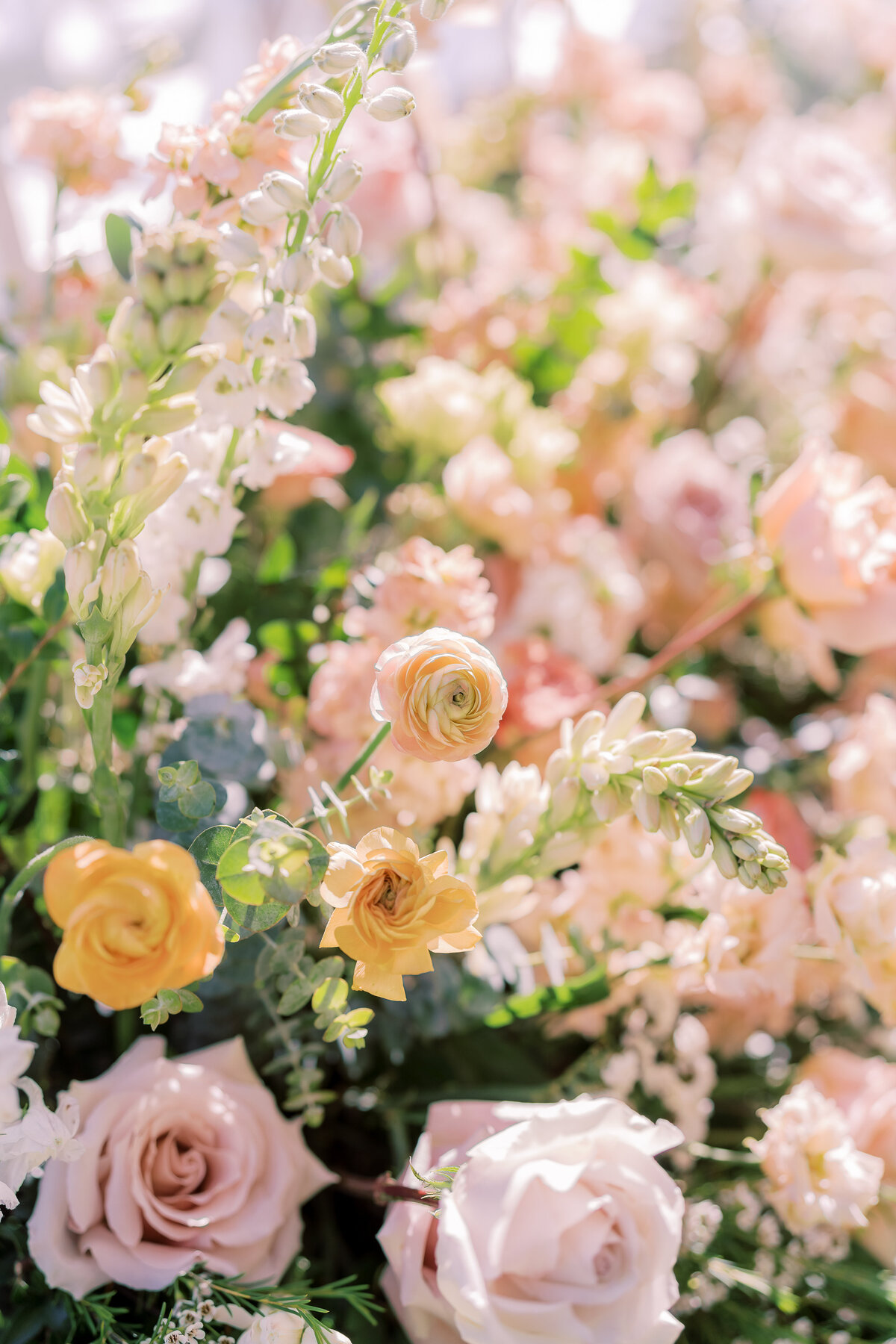 05_S+TWED_Ceremony_KatieJacksonPhotography-009