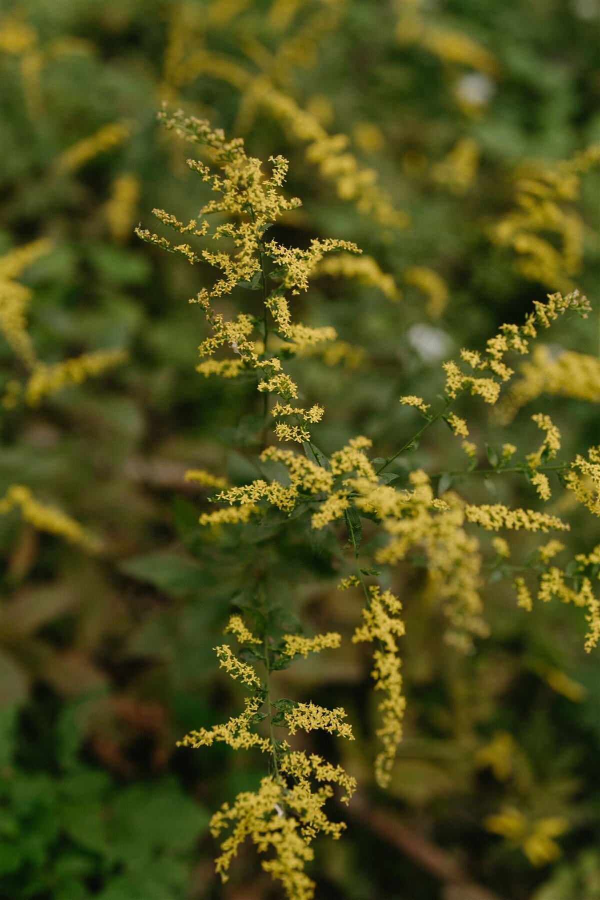 DSC01374_websize