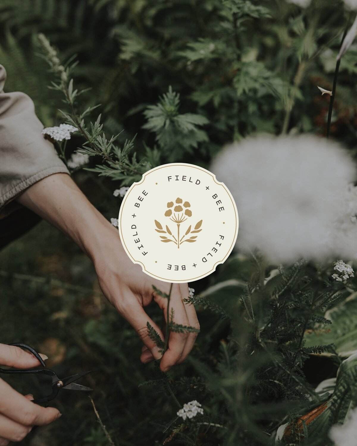 Field+Bee_LaunchGraphics_Instagram92