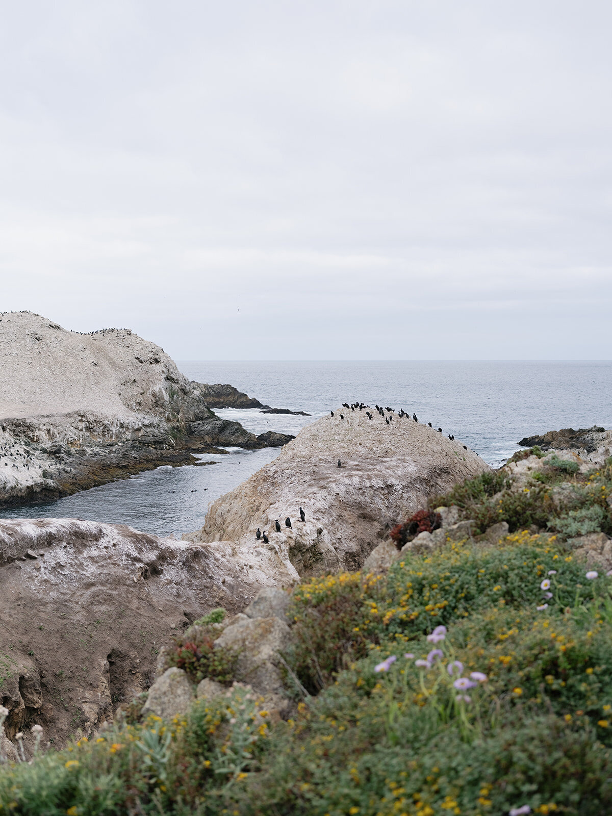 loui_photography-6