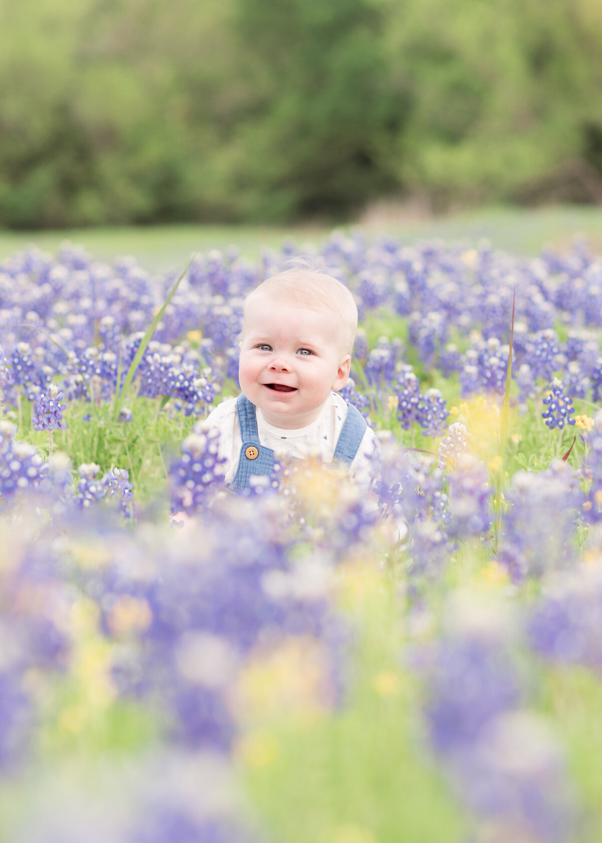 TiffanyCassidyPhotography_MckinneyTexas_Bluebonnets-16