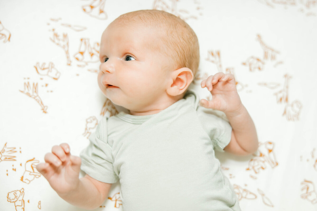 Powell Newborn-45