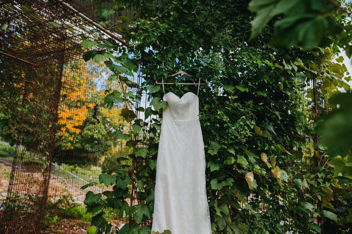 Glasbern Wedding Photographer 011