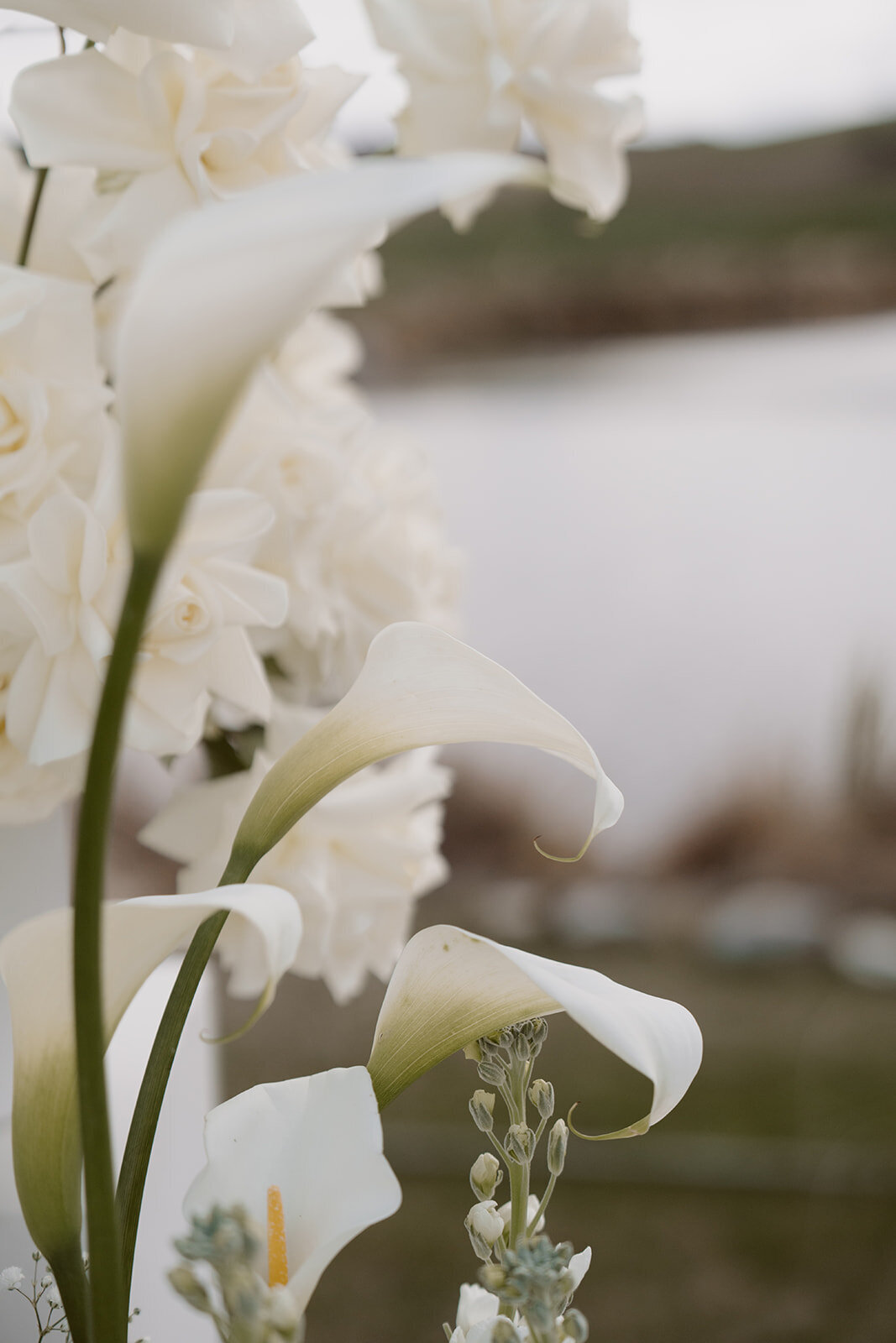 Kate Roberge Photography — Bianca & Clay-131